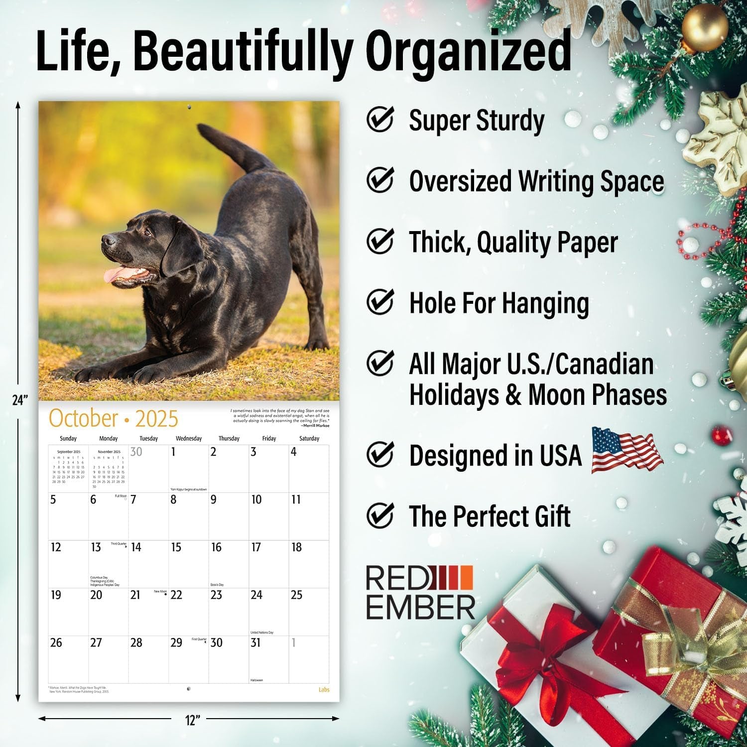 Labs 2025 Wall Calendar 12 Month | 12" X 24" Open | Thick & Sturdy Paper | Giftable | Calendar 2025