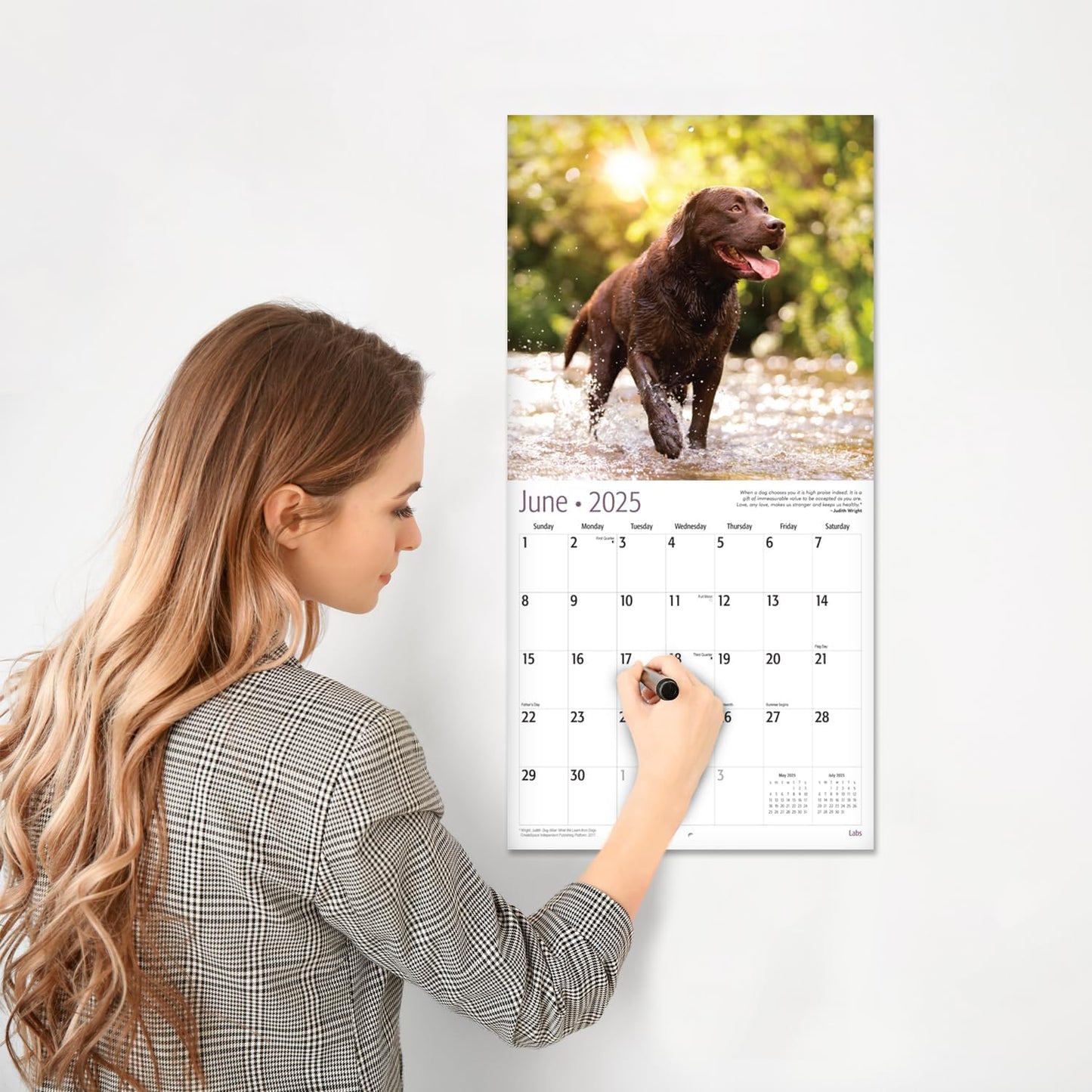 Labs 2025 Wall Calendar 12 Month | 12" X 24" Open | Thick & Sturdy Paper | Giftable | Calendar 2025