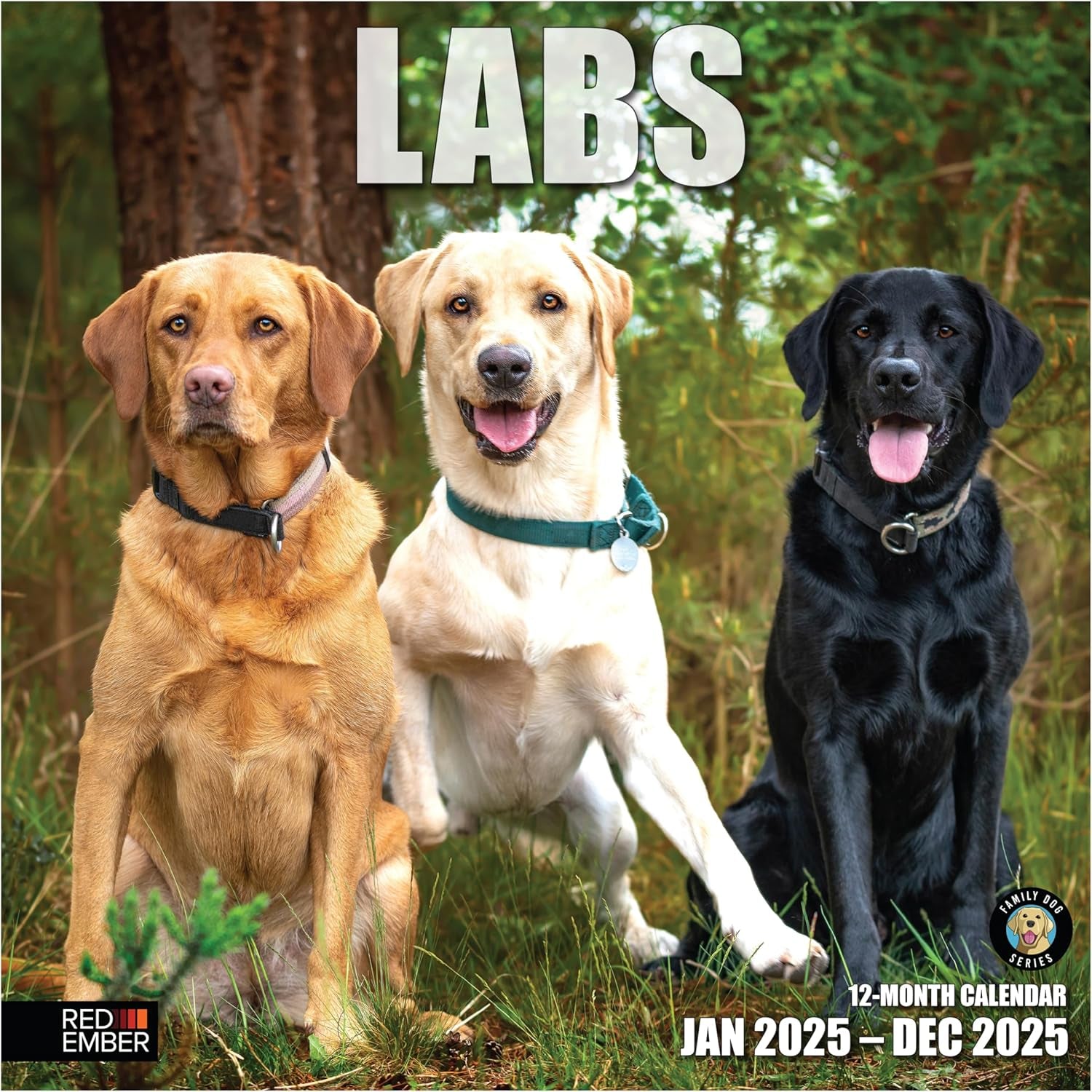 Labs 2025 Wall Calendar 12 Month | 12" X 24" Open | Thick & Sturdy Paper | Giftable | Calendar 2025